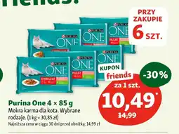 Maxi Zoo Mokra karma dla kota Purina One oferta