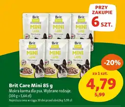 Maxi Zoo Karma dla psa Brit Care oferta
