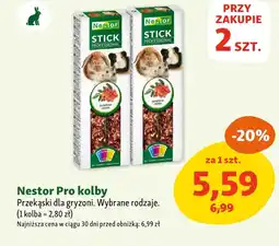 Maxi Zoo Kolba dla gryzoni Nestor oferta