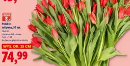 Lidl Bukiet tulipanów Polskie kwiaty oferta