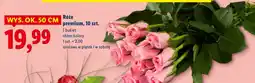 Lidl Bukiet róż Premium oferta