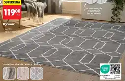 Biedronka Dywan TEX oferta