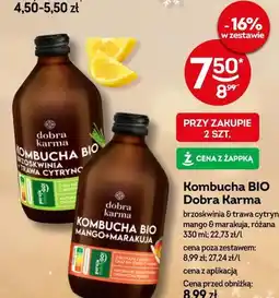 Żabka Kombucha BIO Dobra Karma oferta