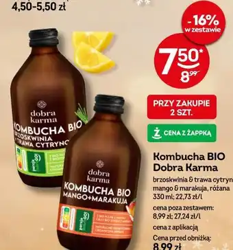 Żabka Kombucha BIO Dobra Karma oferta