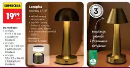 Biedronka Lampka nocna LED oferta