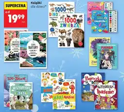 Biedronka Książki dla dzieci oferta