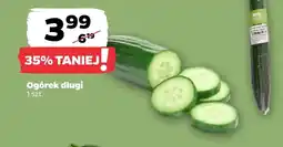 Netto Ogórek oferta