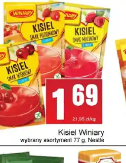 Słoneczko Kisiel Winiary oferta