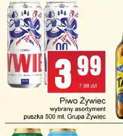 Słoneczko Piwo Zywiec oferta