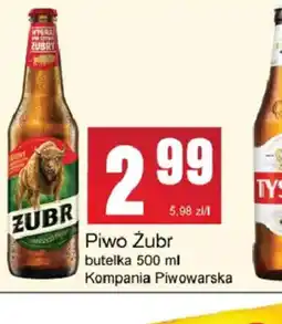 Słoneczko Zubr Piwo oferta