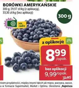 Stokrotka Borówki Amerykańskie oferta