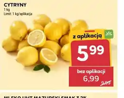 Stokrotka Cytryny oferta