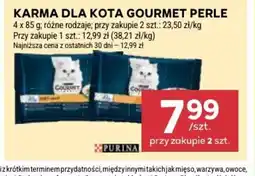Stokrotka Karma dla kota Gourmet Perle oferta