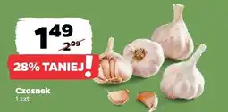 Netto Czosnek oferta