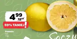 Netto Pomelo luz oferta