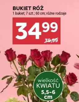 Stokrotka Bukiet Róż oferta
