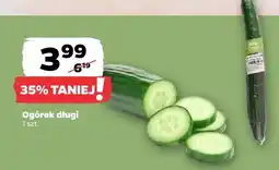 Netto Ogórek długi oferta