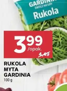 Stokrotka Rukola myta Gardinia oferta
