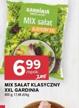 Stokrotka Mix sałat klasyczny XXL Gardinia oferta