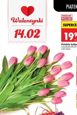 Biedronka Od czwartku, strona 1 oferta