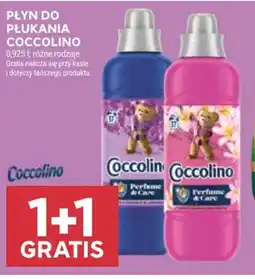 Stokrotka Coccolino płyn do płukania oferta