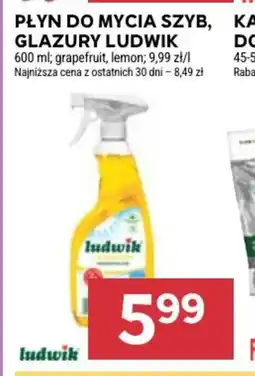 Stokrotka Ludwik płyn do szyb i glazury oferta