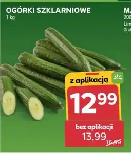 Stokrotka Ogórki szklarniowe oferta
