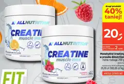 Dealz Allnutrition Monohydrat kreatyny oferta