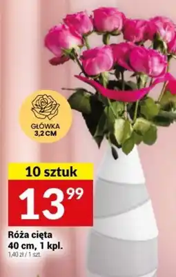 Twój Market Róża cięta oferta