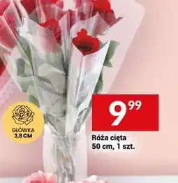 Twój Market Róża cięta oferta