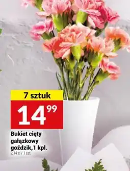 Twój Market Bukiet cięty gałązkowy goździk oferta