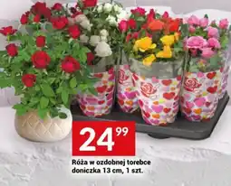 Twój Market Róża w ozdobnej torebce oferta