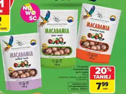 Carrefour Market Ser camembert Turek, President oferta