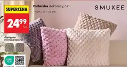 Biedronka Poduszka dekoracyjna oferta