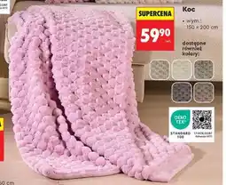 Biedronka Koc oferta