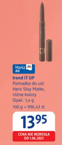 dm drogerie markt Trend IT UP Pomadka do ust Hero Stay Matte oferta