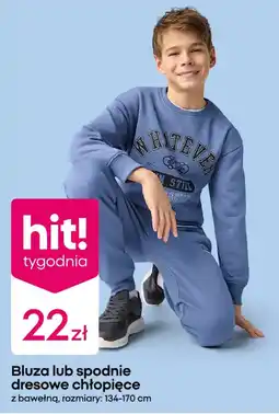 Pepco Bluza lub spodnie dresowe chłopięce oferta