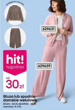 Pepco Bluza lub spodnie damskie welurowe oferta