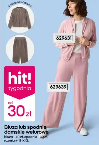 Bluza lub spodnie damskie welurowe