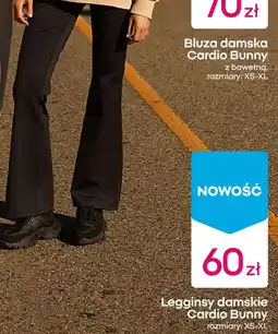Pepco Legginsy damskie Cardio Bunny oferta