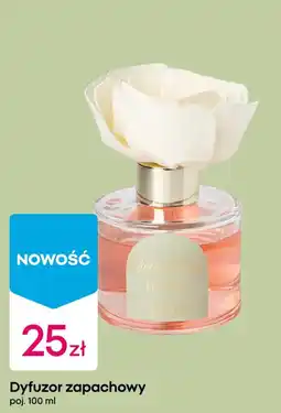 Pepco Dyfuzor zapachowy oferta