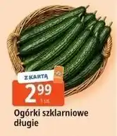 E.Leclerc Ogórek szklarniowy oferta