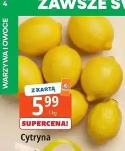 E.Leclerc Cytryny oferta