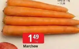 E.Leclerc Marchew oferta