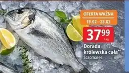 E.Leclerc Dorada Scapmaree oferta