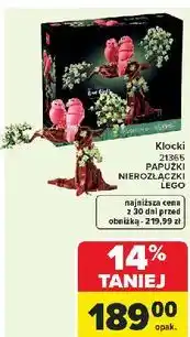 Carrefour Klocki 21365 Lego Botanicals oferta