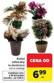 Carrefour Kwiat sztuczny w doniczce oferta