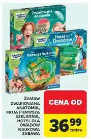 Carrefour Naukowa zabawa hotel dla owadów Clementoni oferta