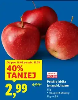 Lidl Mięso mielone z łopatki wieprzowej oferta