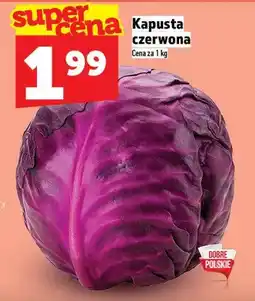 Topaz Kapusta czerwona oferta